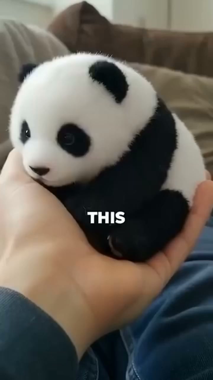 Anúncio de Liveone