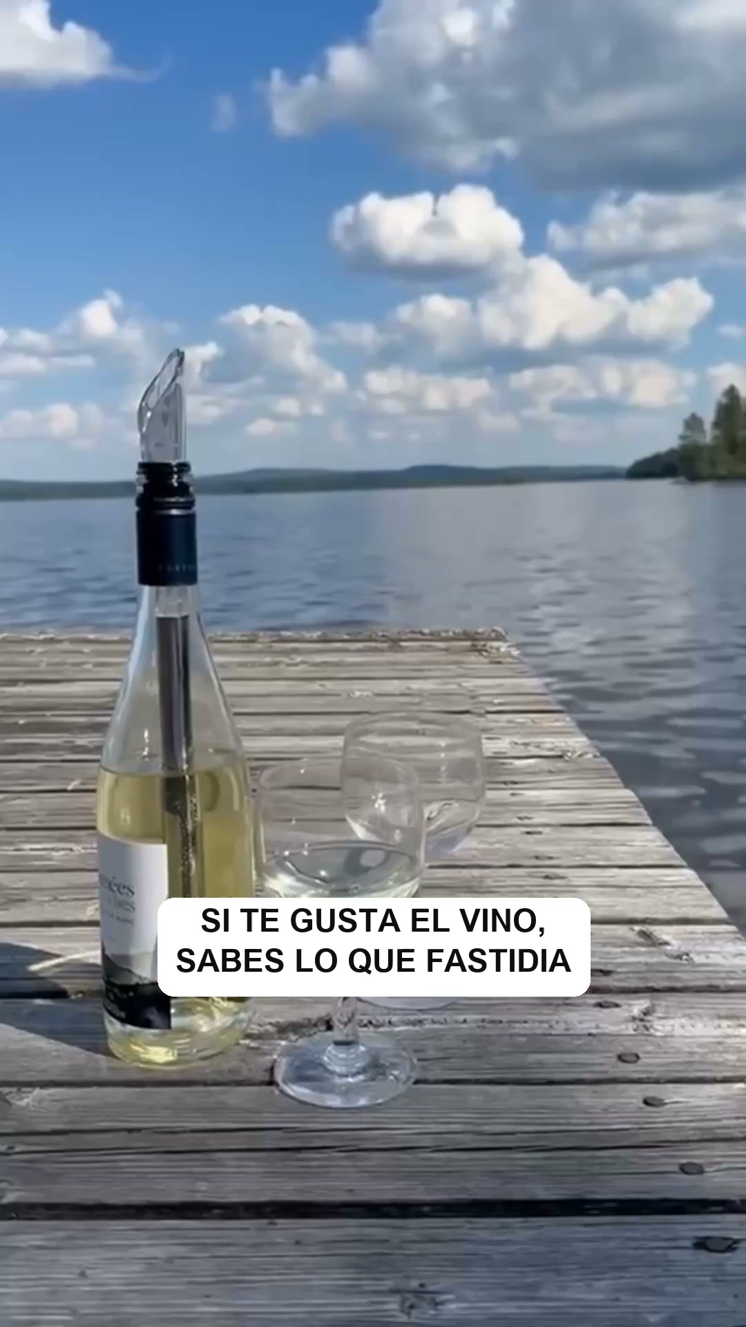 Vino frío para la sobremesa