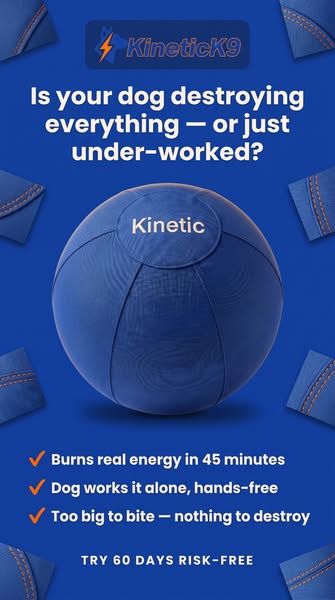 The last dog ball you'll ever buy.