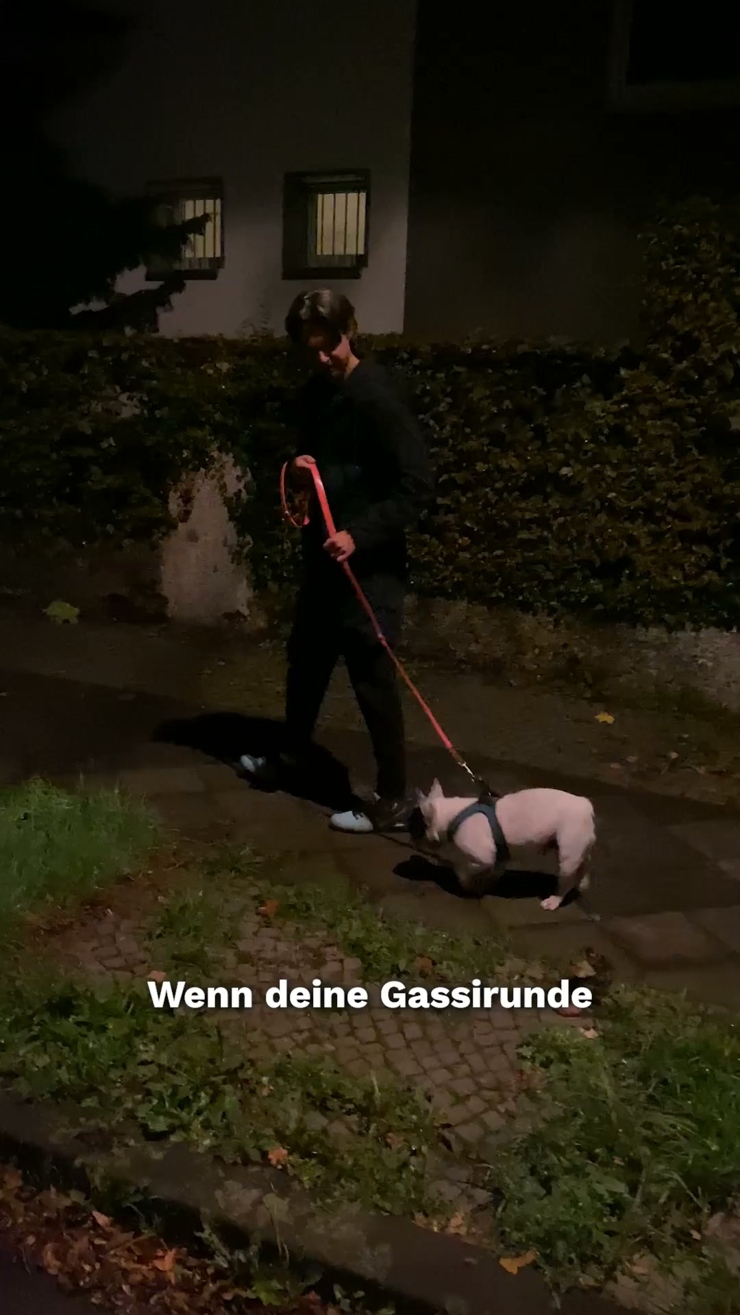 +200.000 glückliche Kunden