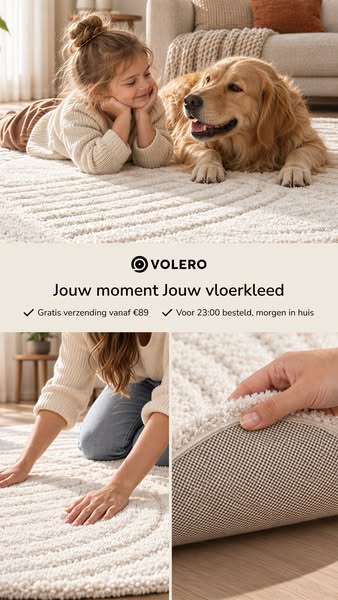 De Vloerkledenspecialist