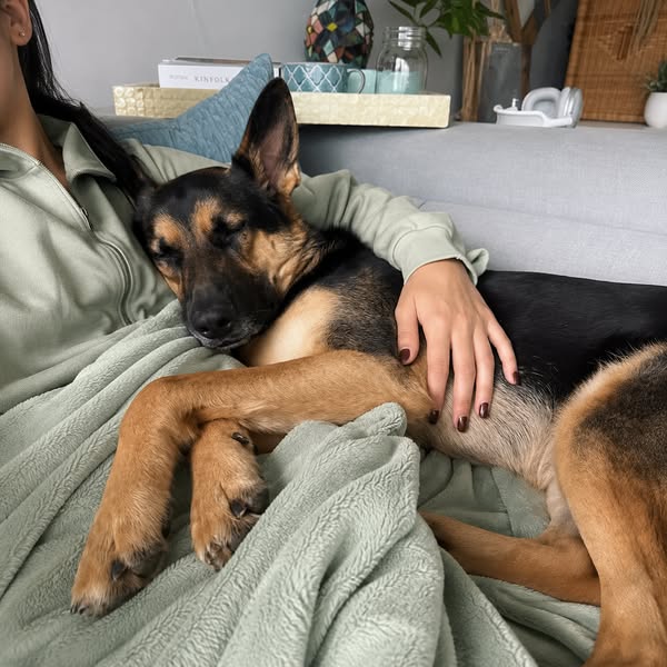 Read This Before Your Next Vet Bill