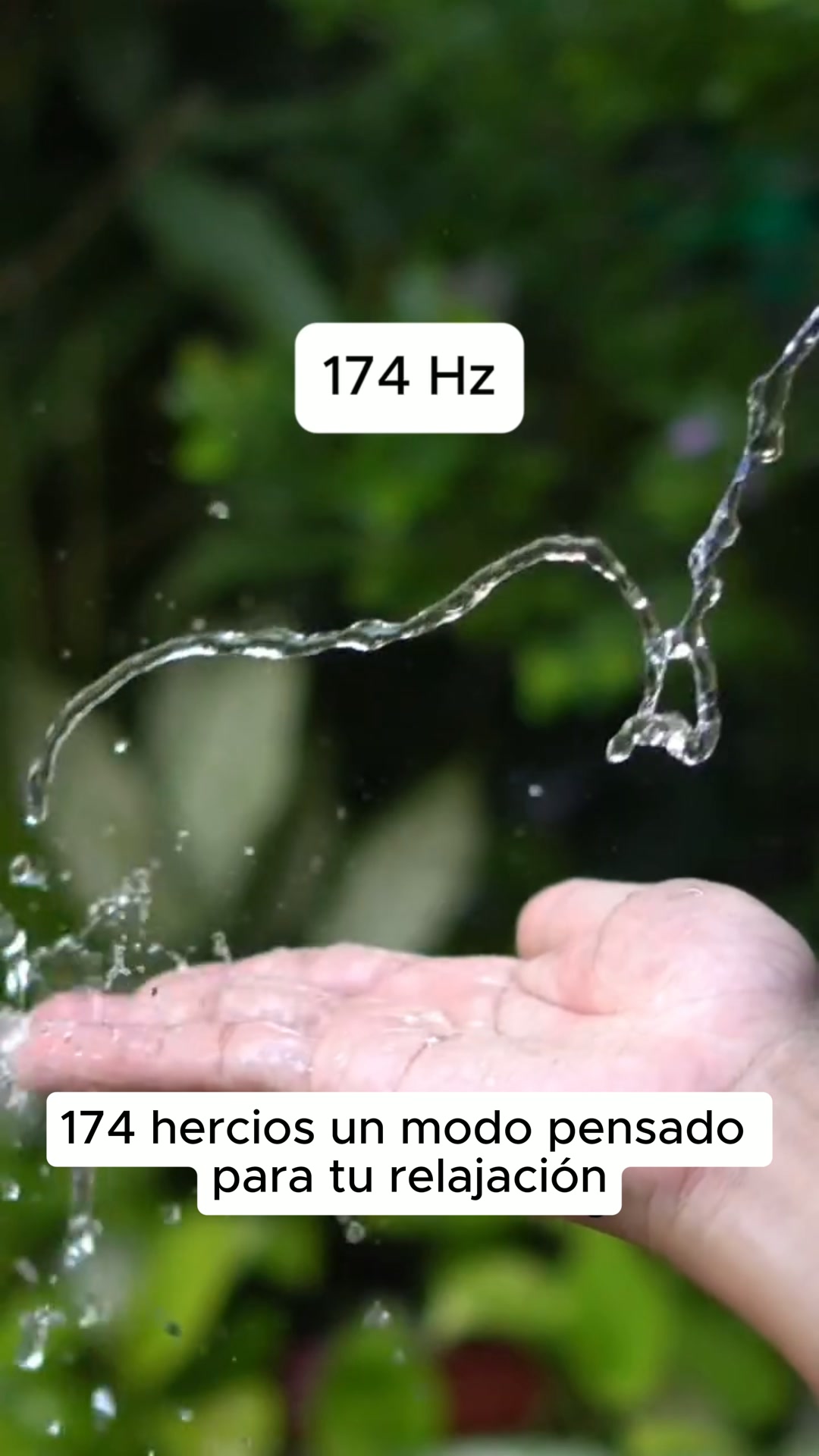Bienestar simple y accesible