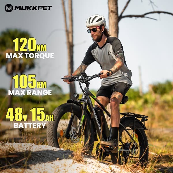 High Powered Fat Tire Ebike 5.0/5