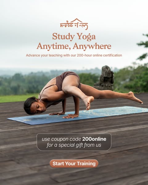 Start Your Yoga Journey Today
