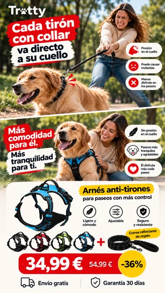 Arnés anti-tirones + correa de regalo