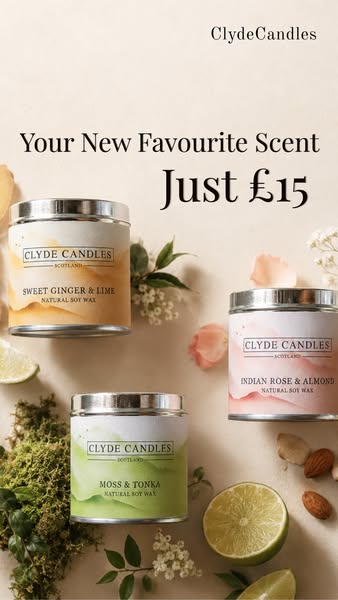 Your New Favourite for £15