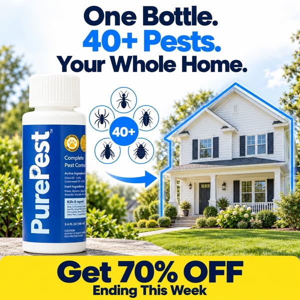 We Put Exterminators Out of Business For $25