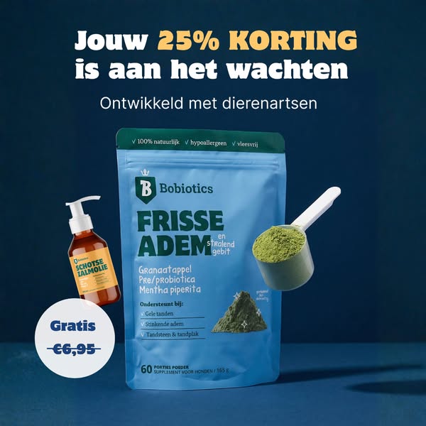 25% korting op élke bestelling. Start je abonnement nu.