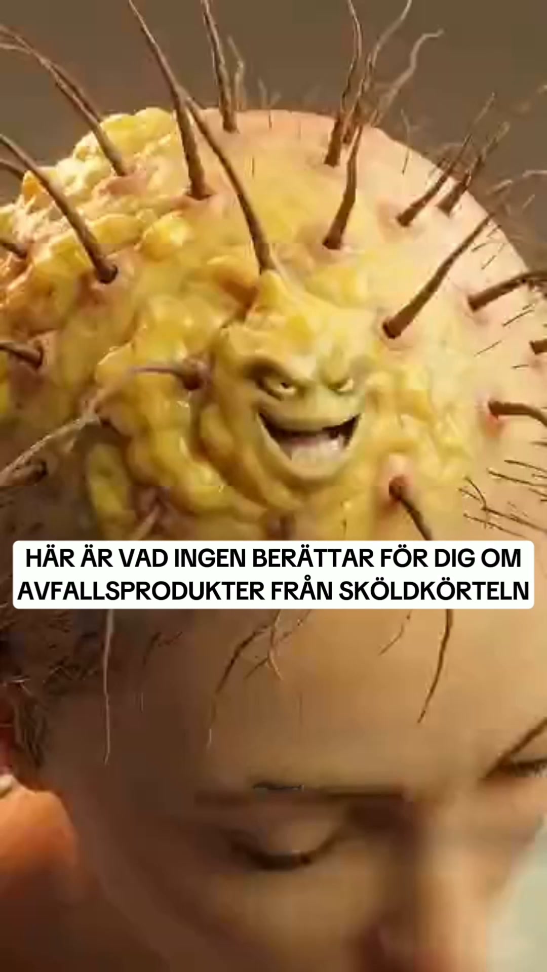 1000+ Nöjda Kunder