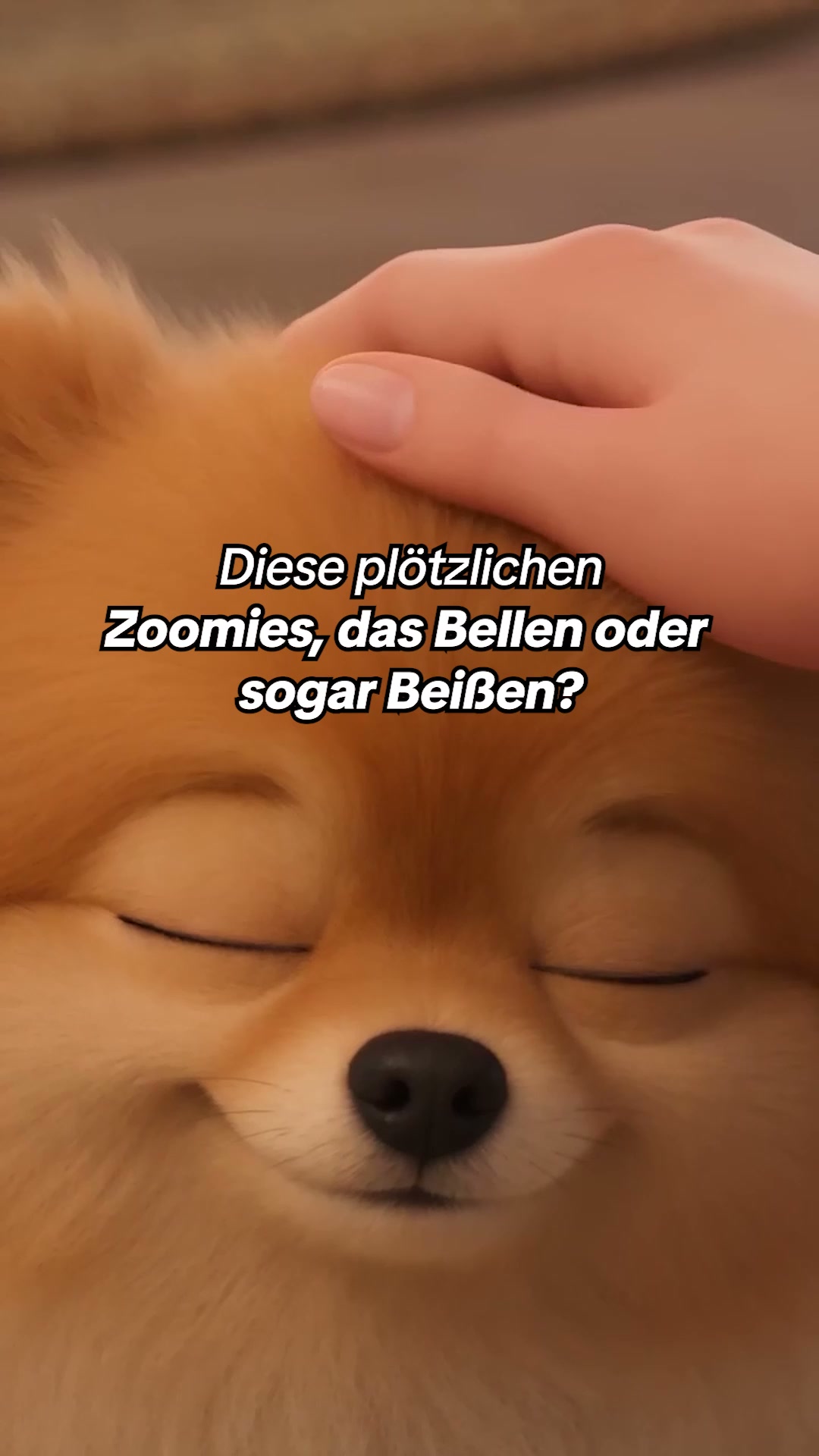 70 % RABATT + KOSTENLOSER Versand