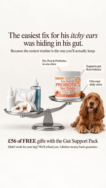 Try RISK FREE. Don't love it? We'll give you a refund.