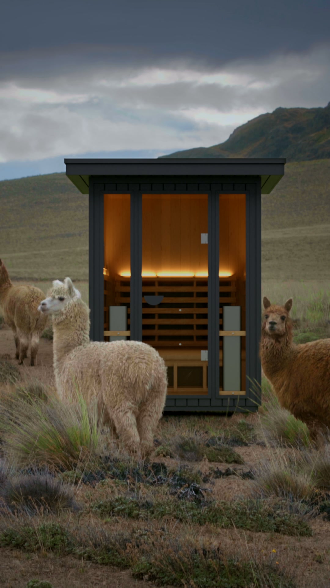 More From Your Outdoor Space