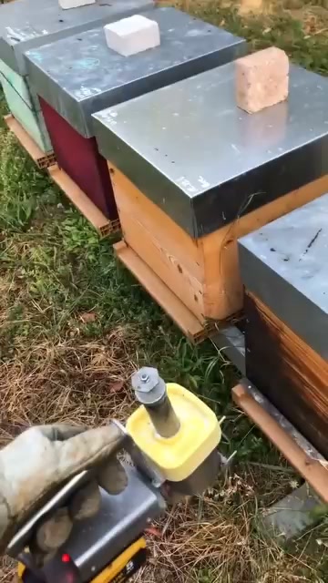 O dispositivo de sublimação de ácido oxálico INSTANTVap controla eficazmente os ácaros Varroa, protegendo a saúde das abelhas!
