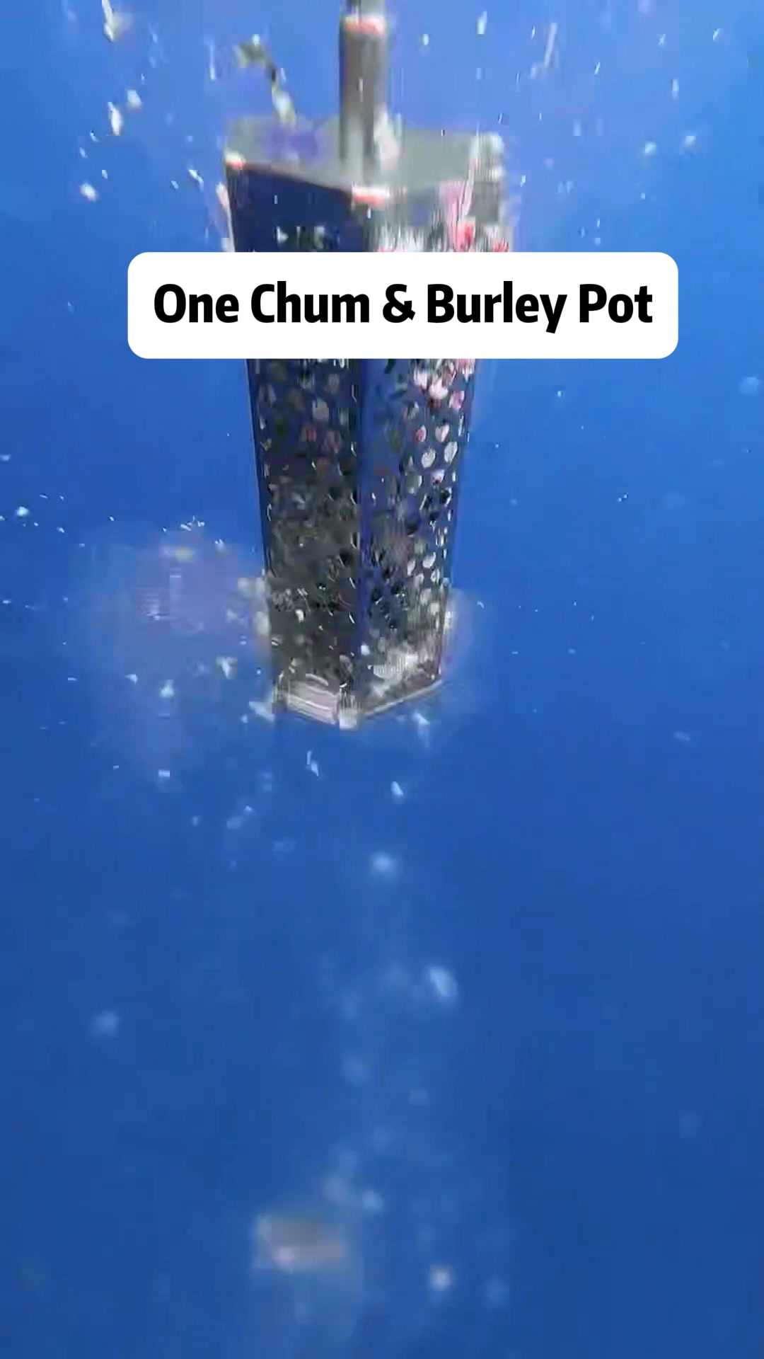 Your Chum & Burley Routine Just Got Easier Less Gear. Less Mess. More Fishing.