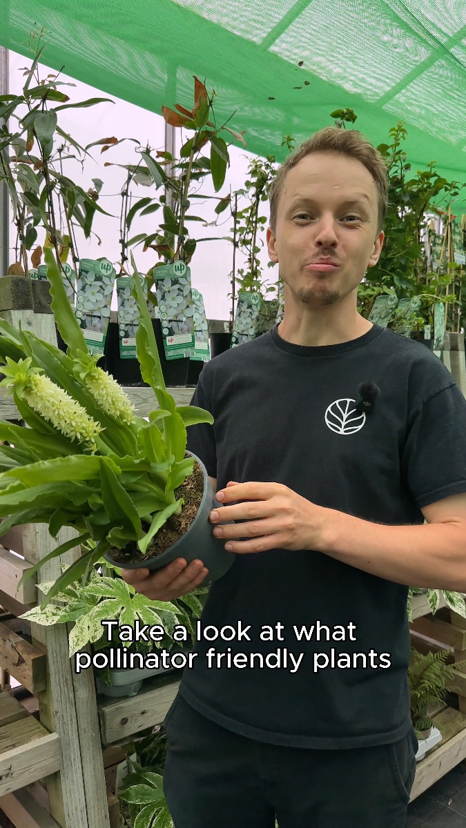 Fresh Outdoor Plants Have Landed