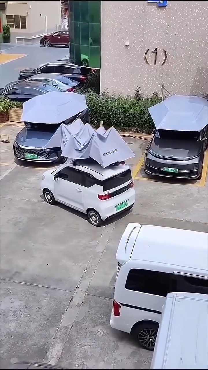 Sun Shade Car Cover