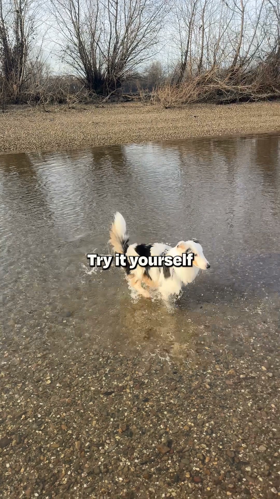 Try it with 50% off using code OURTRAVITUDE50