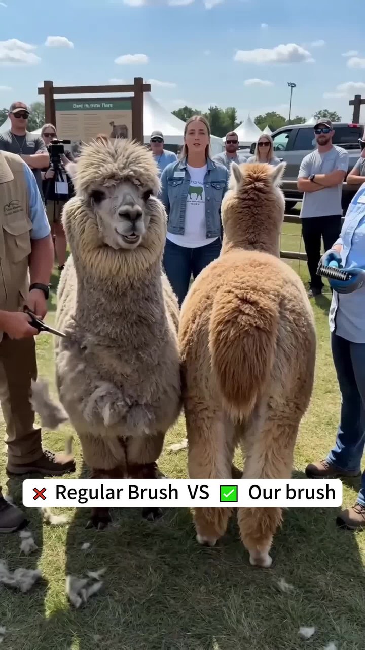 Pet Pro Grooming Tool