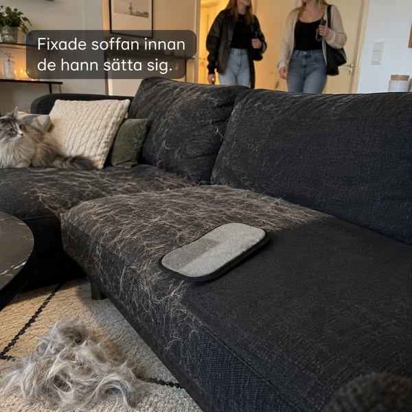 Älskar katten. Inte katthåret.