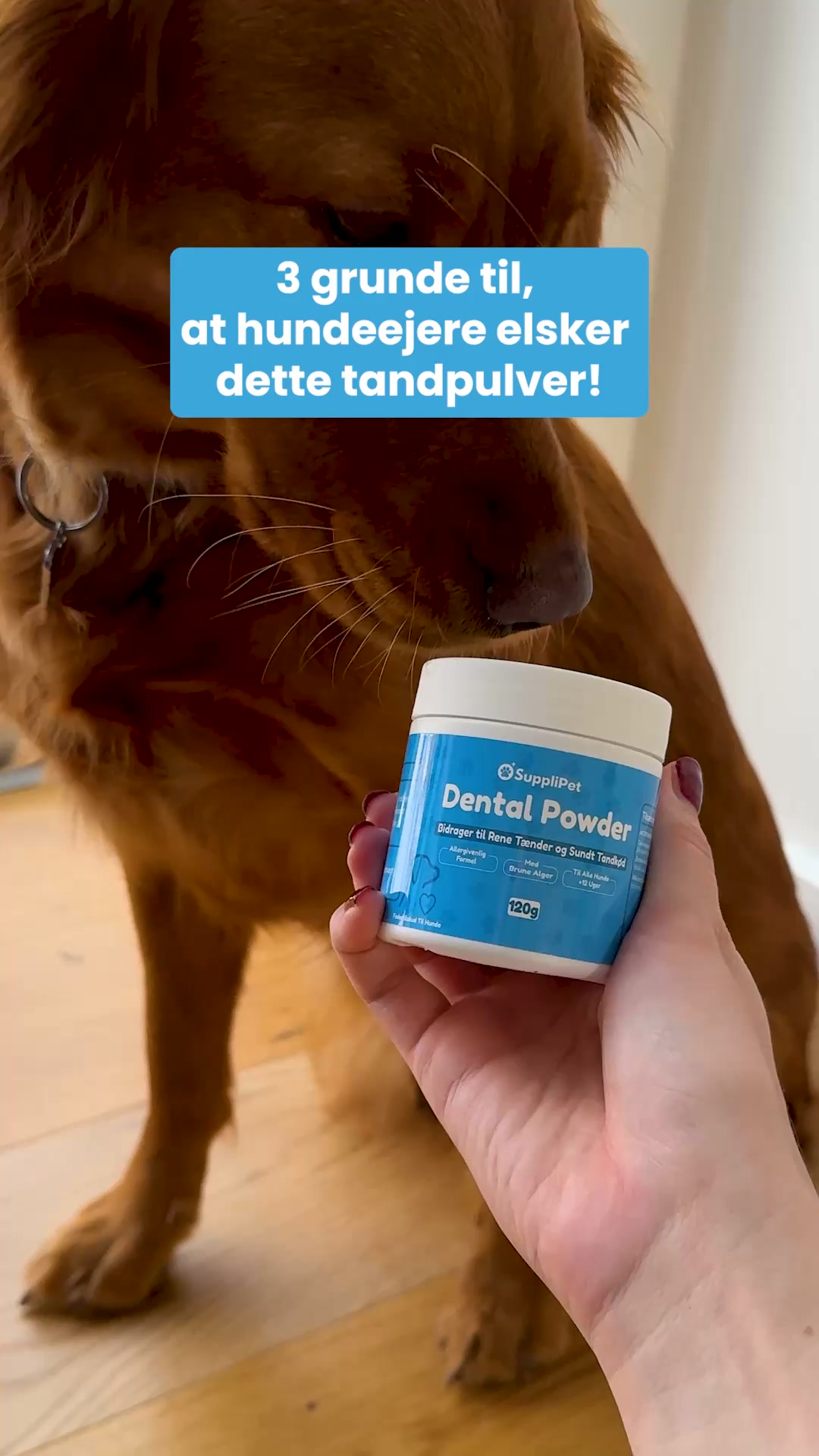 Støt Din Hunds Tænder og Tandkød