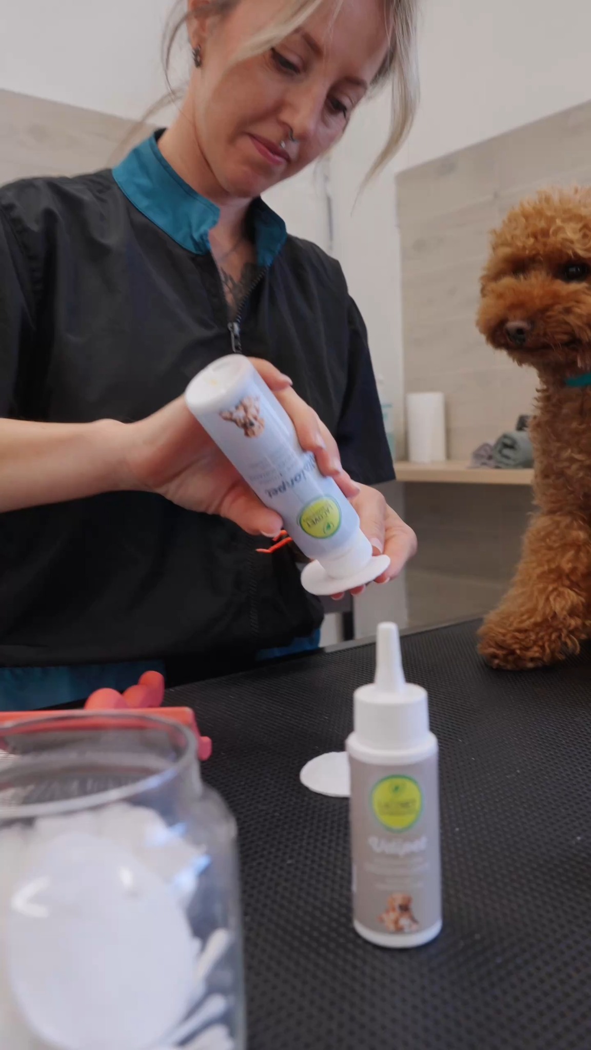 Anúncio de LACOVET pet beauty & care