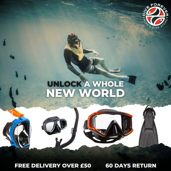 Grab Your Snorkel Gear