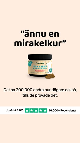 16.000+ Trustpilot recensioner.