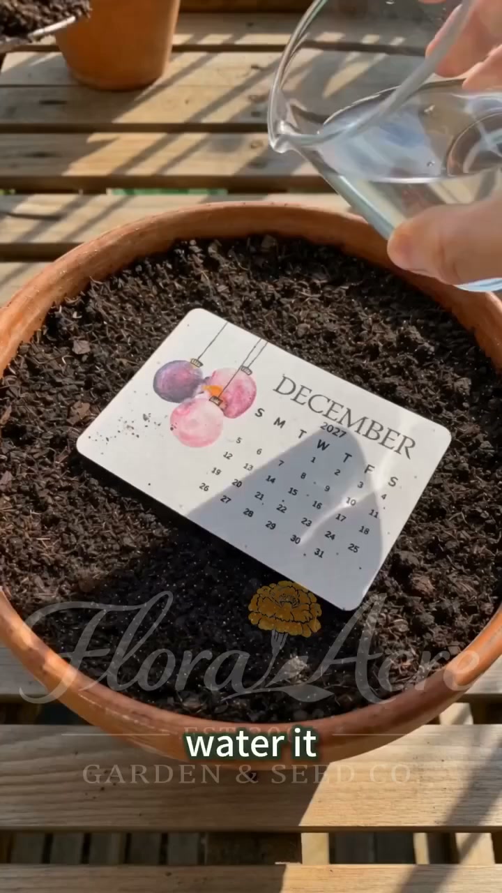 Anúncio de Ahlwo X