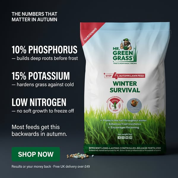 Your Lawn Deserves The BEST!