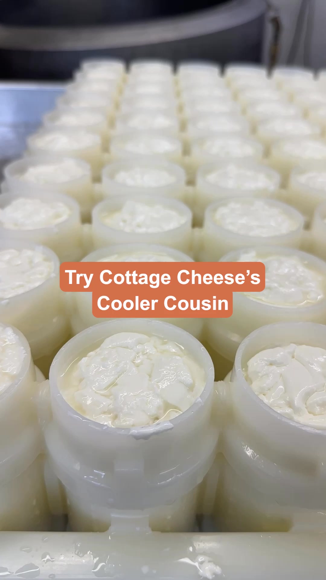 Try Something New Today