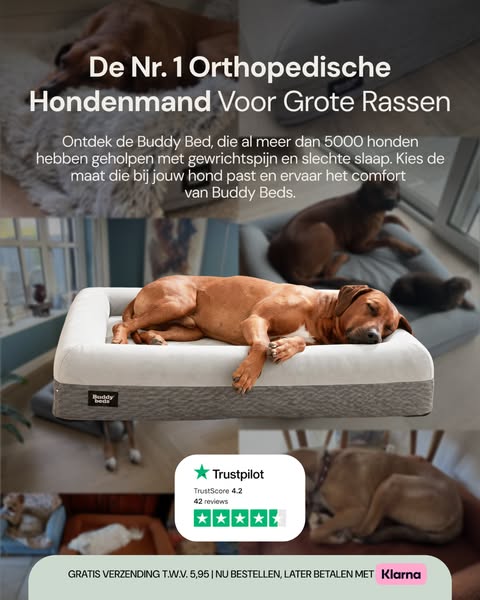 Collectie_Buddy-Beds