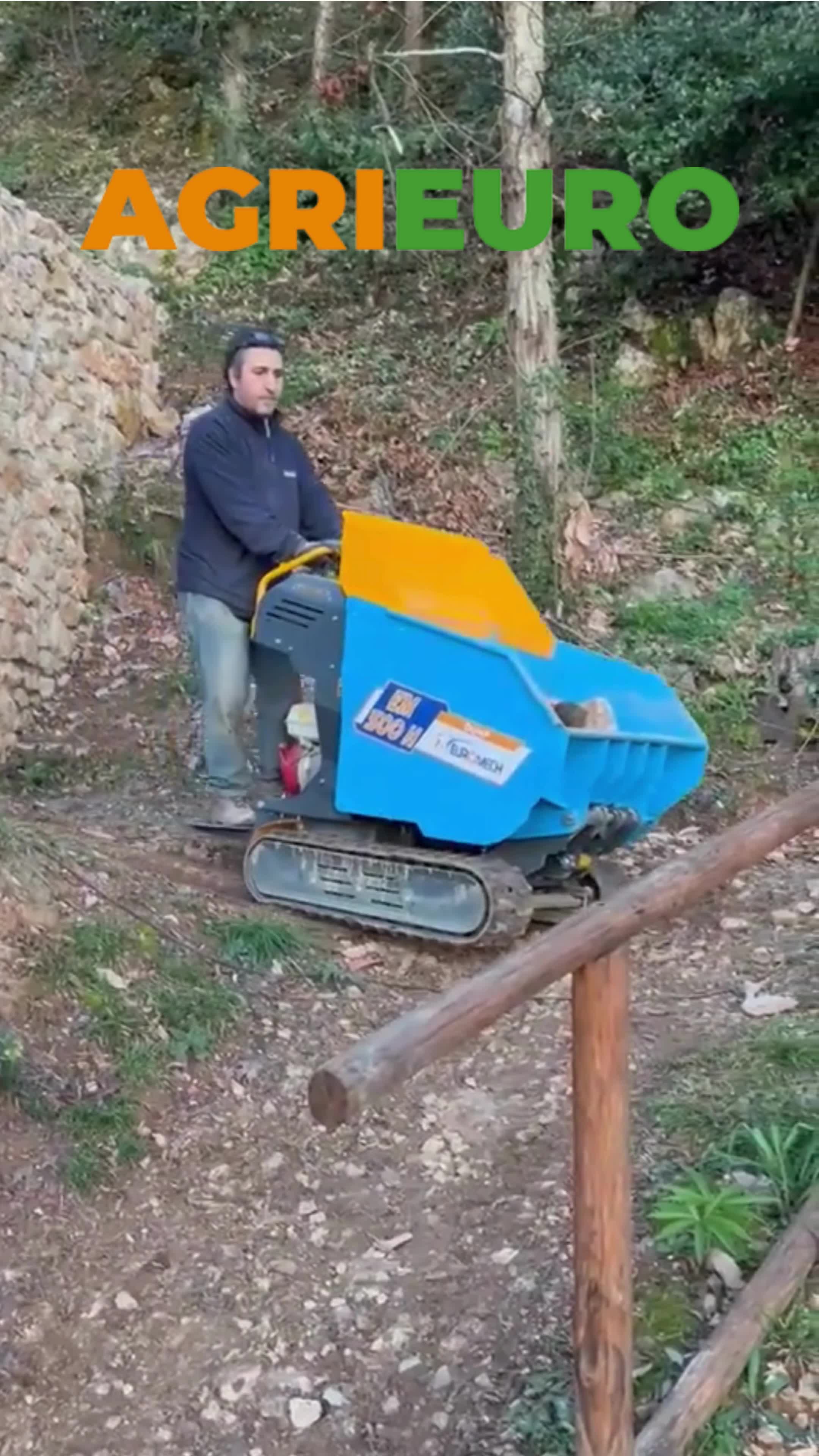 Motocarriole