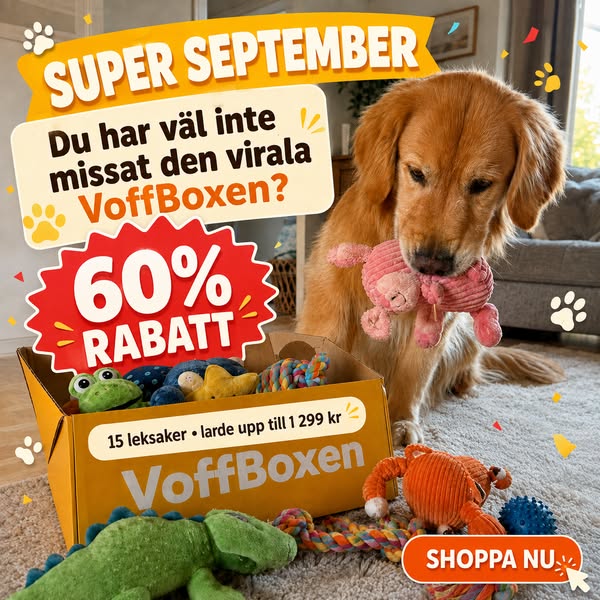 15 hundleksaker för endast 449 kr!
