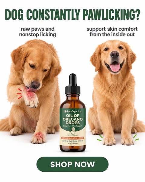 Natural Parasite Cleanse for Dogs