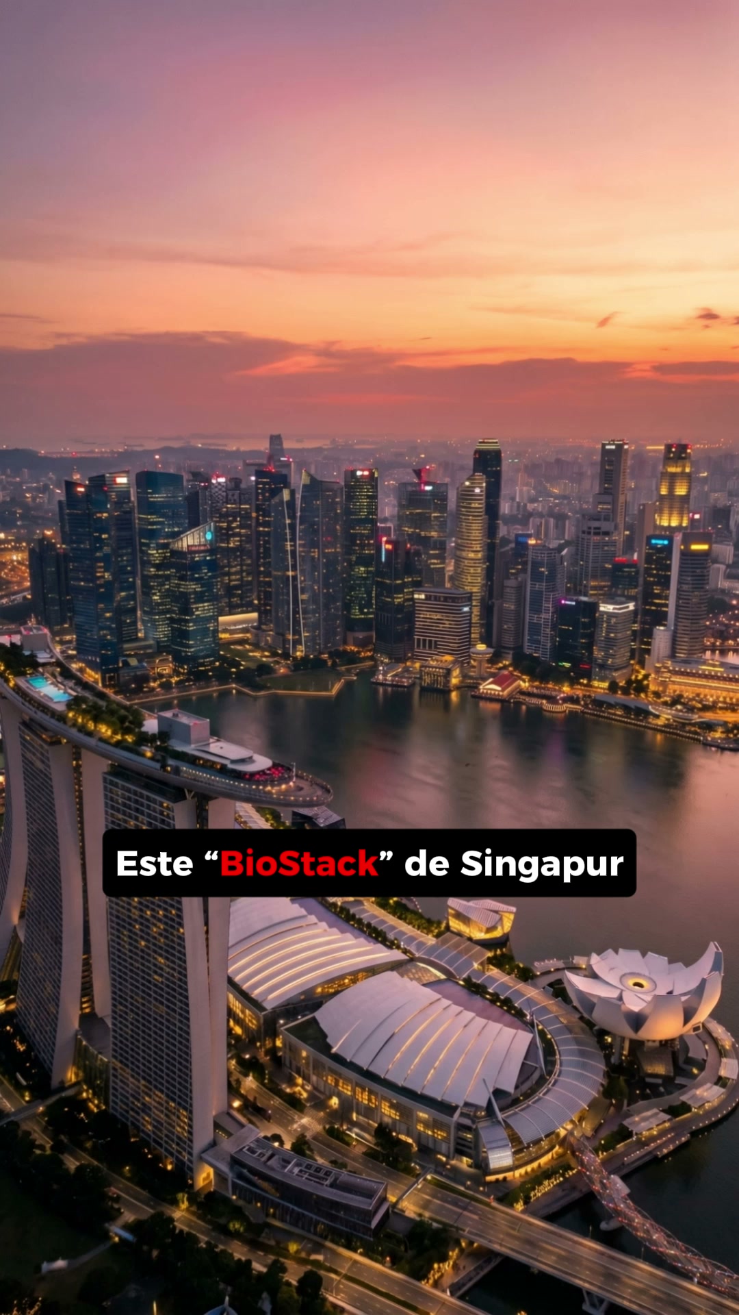 Magnali: Singapore's Longevity Breakthrough