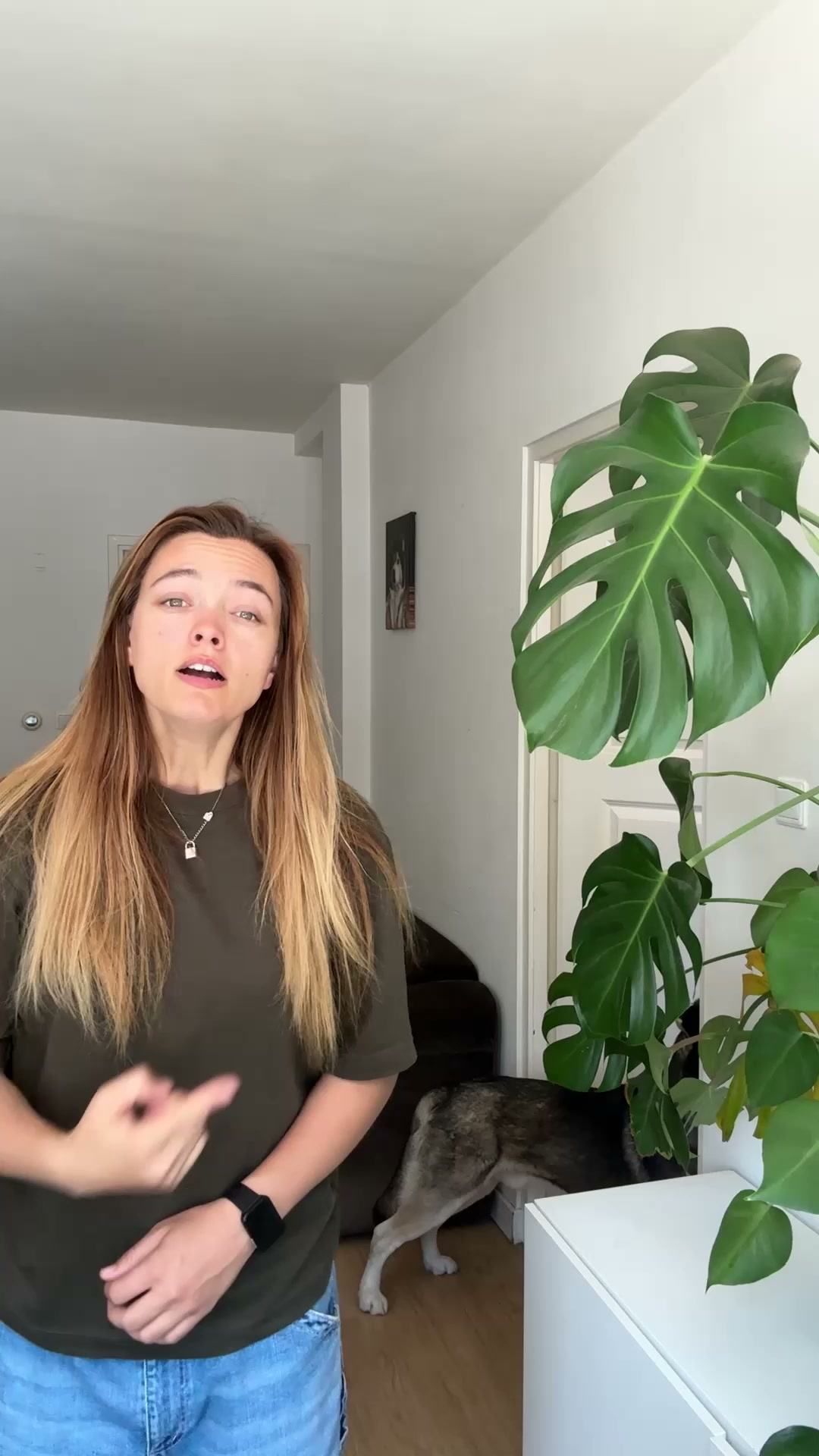 4tekenenangststressbijhonden