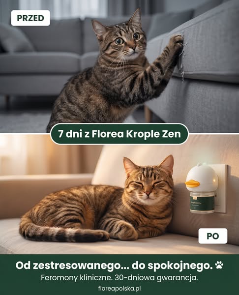 Sprawdź bez ryzyka — 30 dni gwarancji