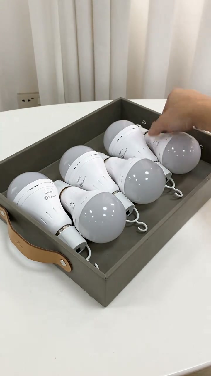 Rechargeable Emergency Light Bulbs