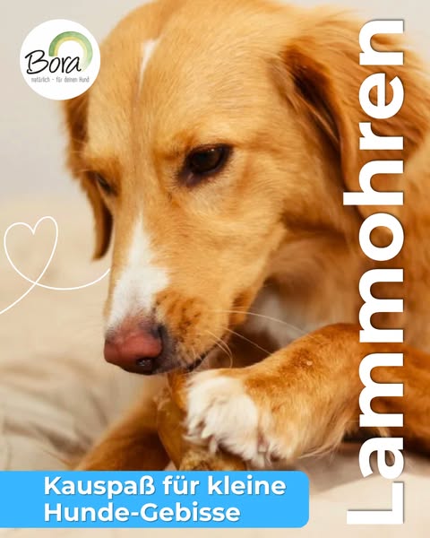 Bora's natürliche Kausnacks für deinen Hund!
