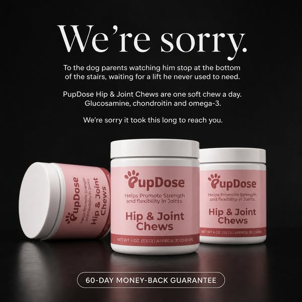 We're Sorry, Dog Parents