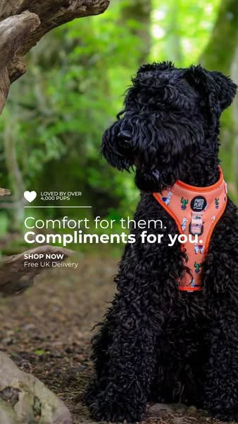 Comfort for Them. Compliments for You.
