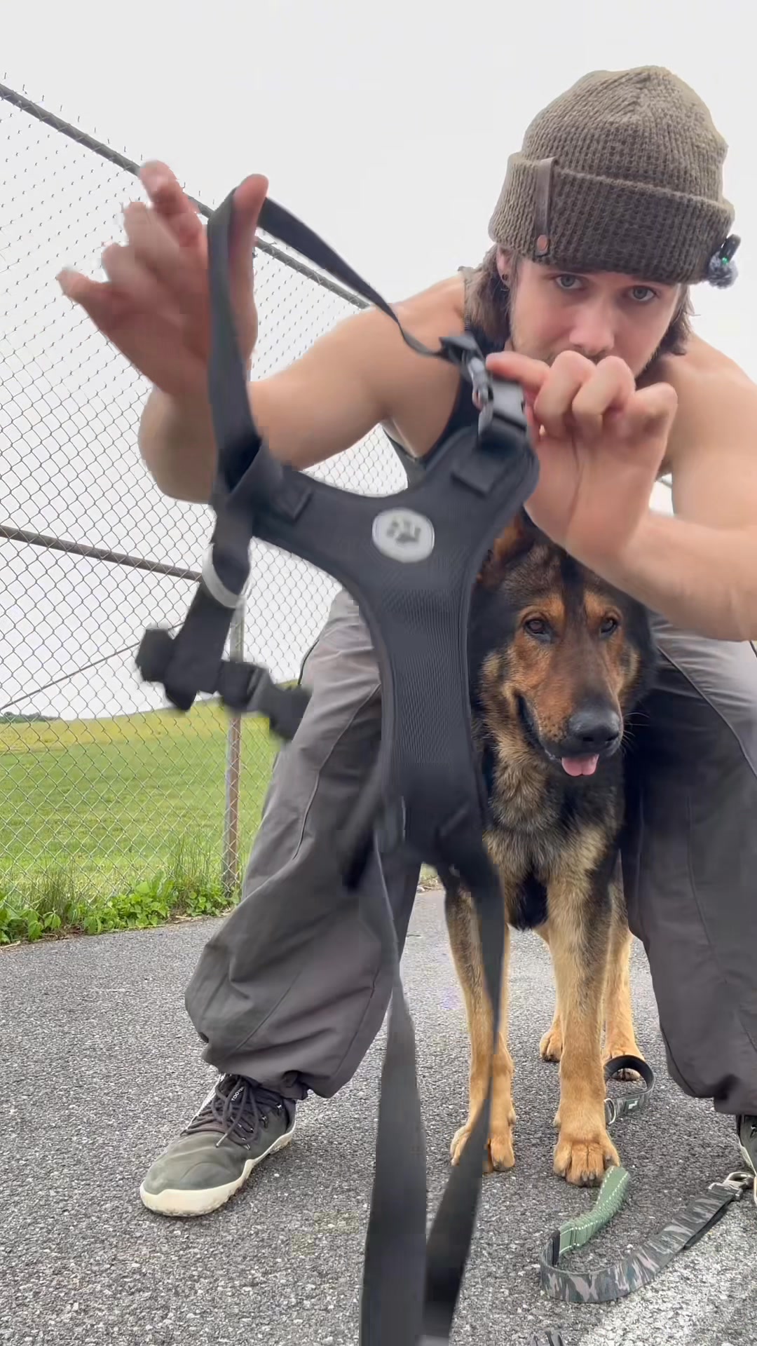 Rated #1 By Dog Owners