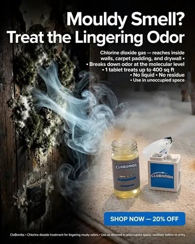 Mouldy Smell? Treat the Lingering Odor
