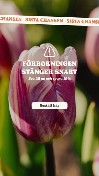 Förhandsbokningen stänger snart