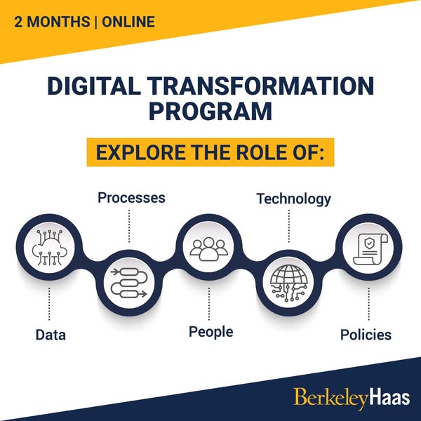 Digital Transformation (Online)