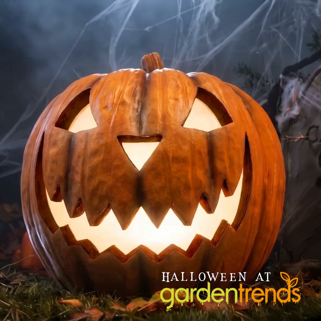 Light Up Your Halloween