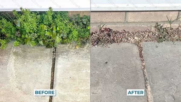 There’s something SO satisfying about a clean yard.