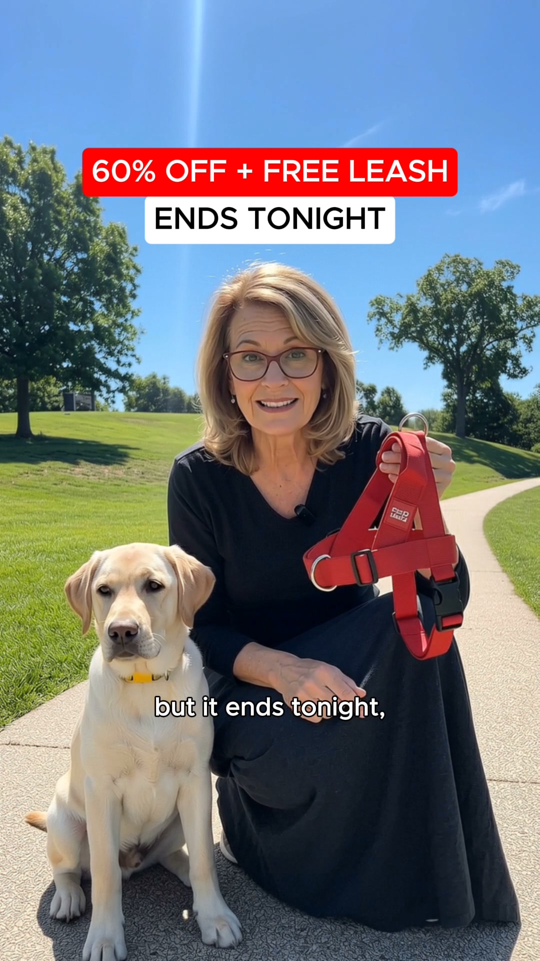 FREE LEASH TODAY