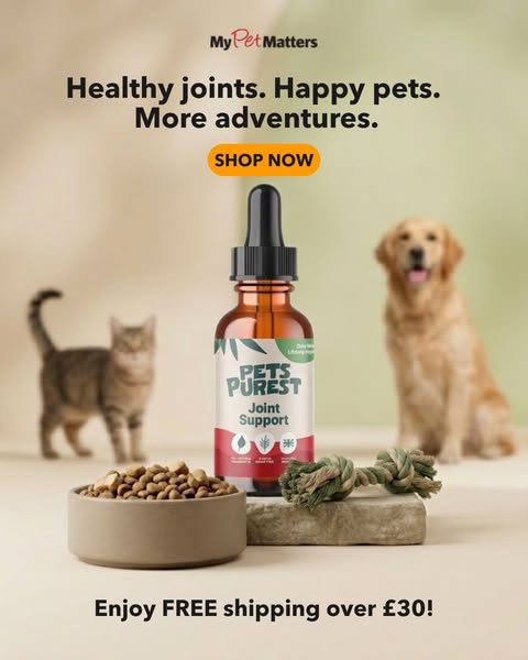 15% Off Your First Order + Free Shipping Over £30